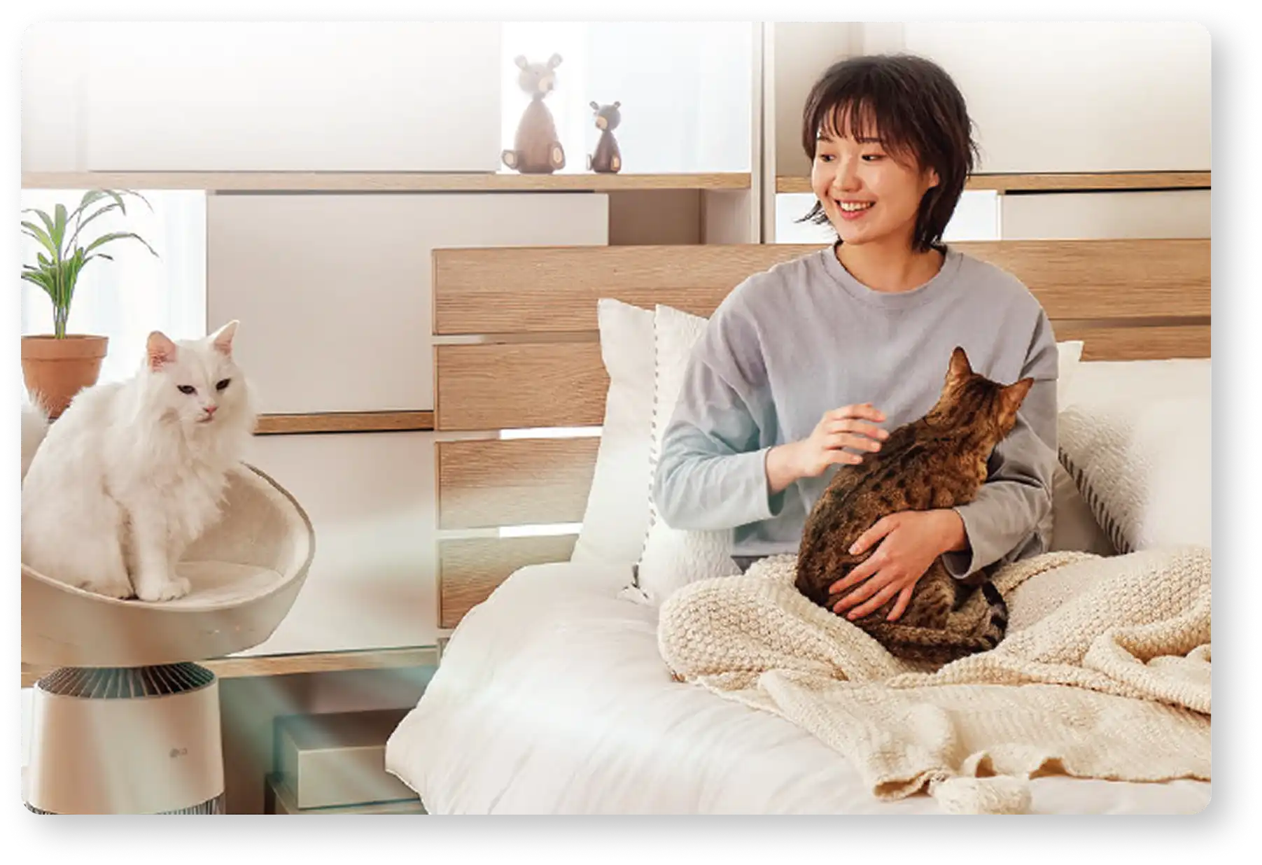 Pet friendly home with air purifier